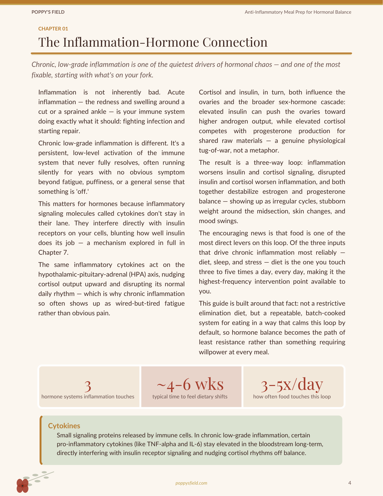 The Complete Anti-Inflammatory Hormone Reset System — Poppy's Field (preview 5)