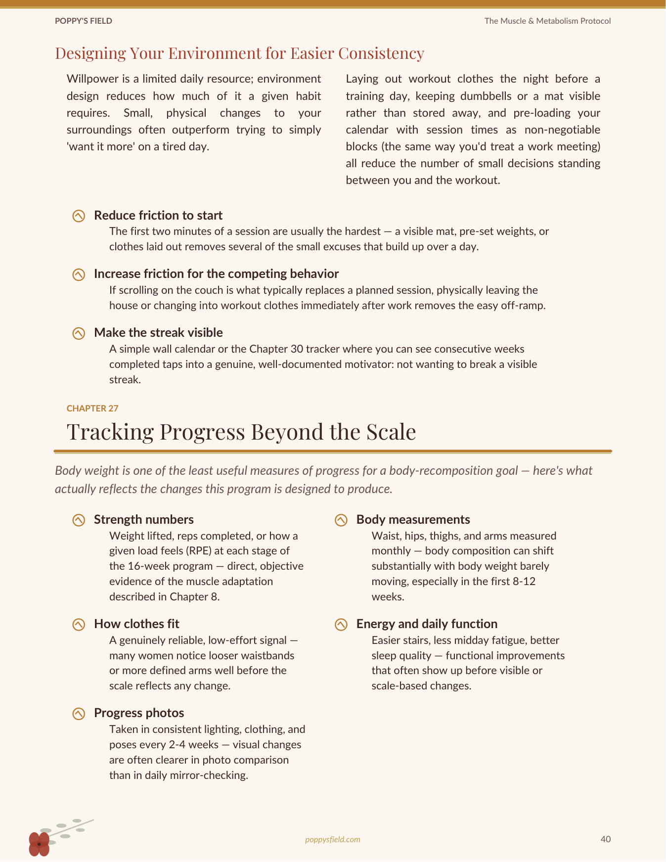 The Muscle & Metabolism Protocol for the 30s Shift | Resistance Training Hormone Balance Women | Instant Download — Poppy's Field (preview 4)