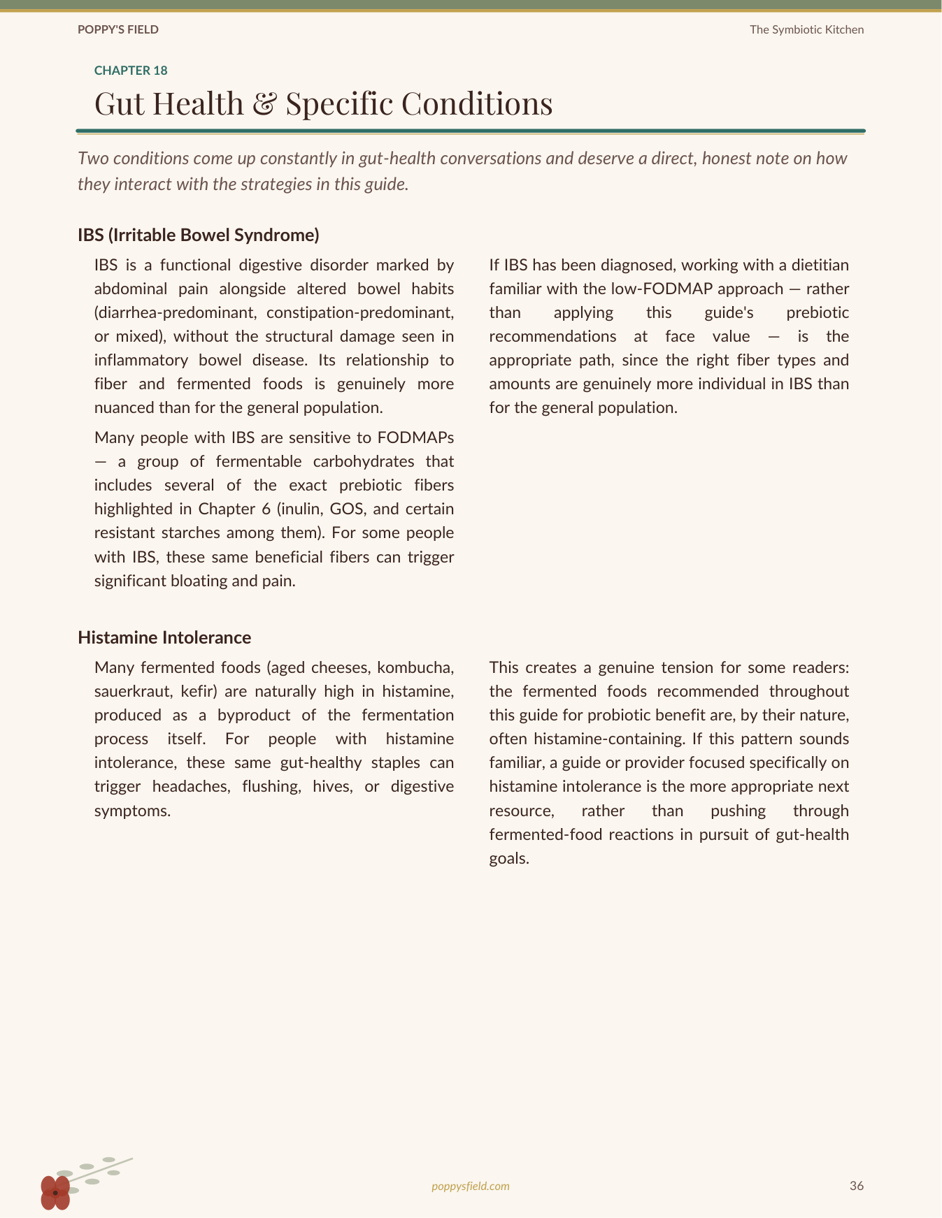 The Symbiotic Kitchen | Prebiotic Probiotic Food Pairing Guide | Gut Health Meal Planner | Instant Download — Poppy's Field (preview 4)