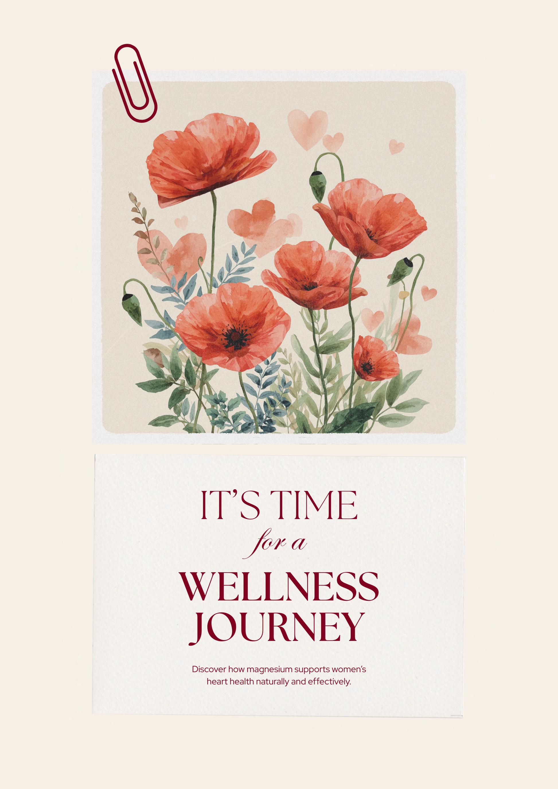 Magnesium and The Mature Heart - Supplementation Protocol Women Over 40 - Poppys Field