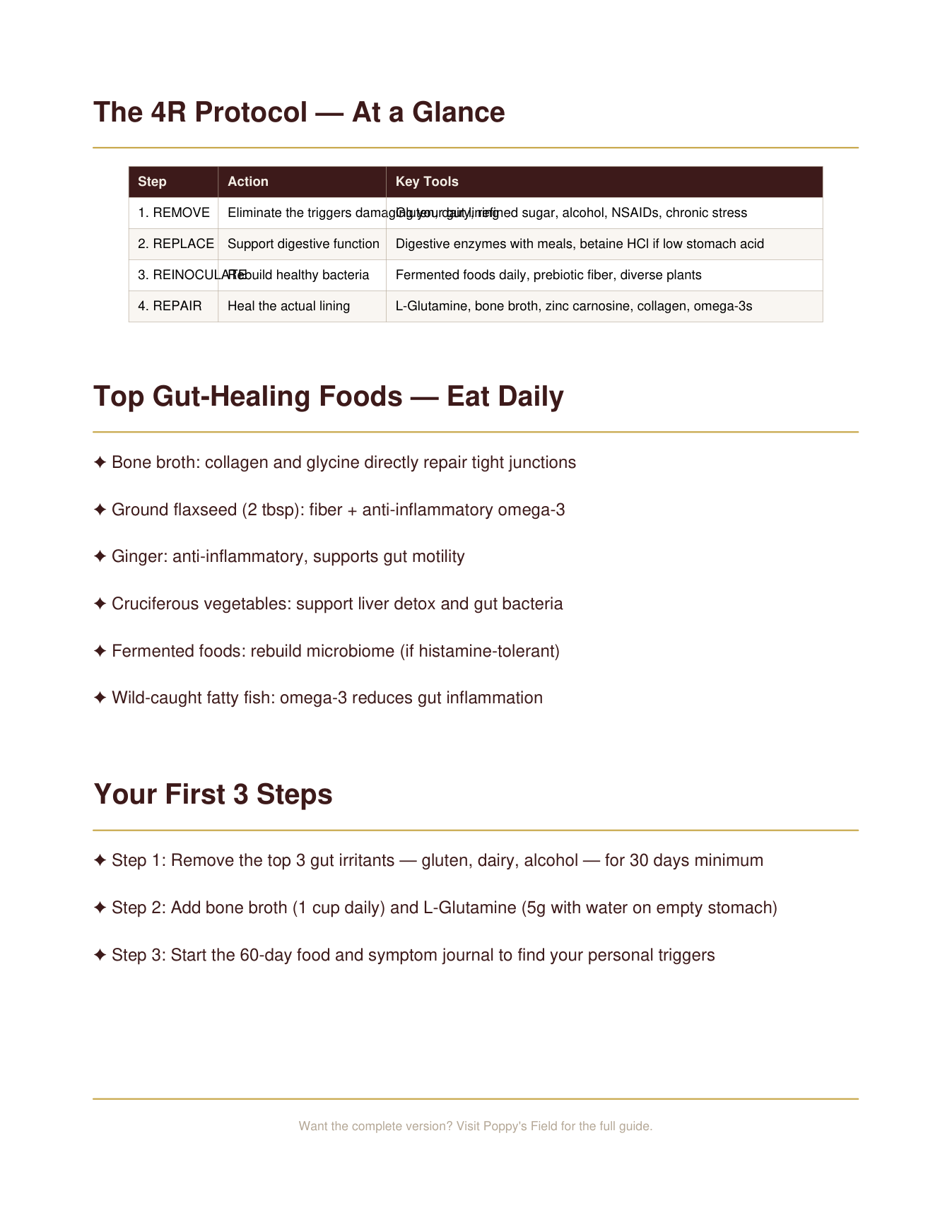 Leaky Gut Quick-Start Guide | 4R Protocol Gut Healing Foods First Steps | Instant Download — Poppy's Field (preview 2)