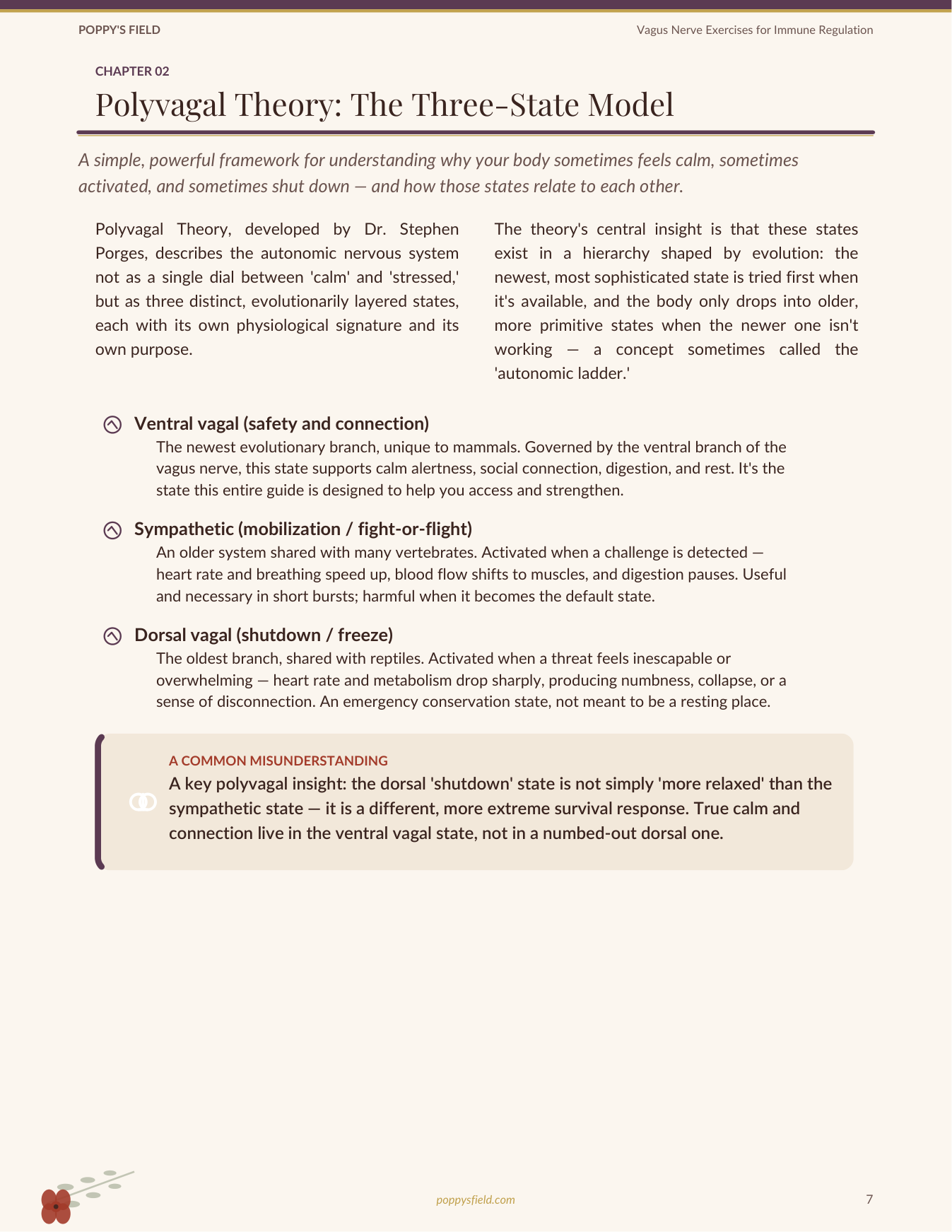 Vagus Nerve Exercises for Immune Regulation | Somatic Breathwork Guide Autoimmune Healing | Instant Download — Poppy's Field (preview 2)