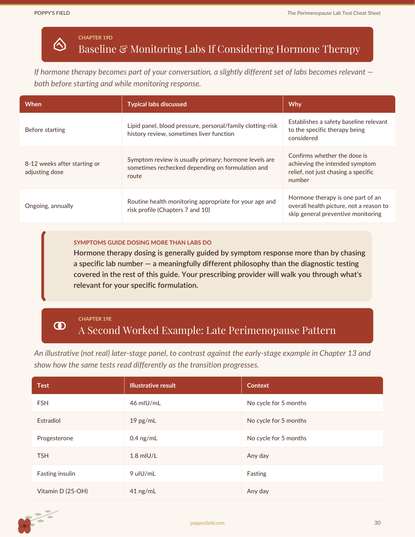 The Perimenopause Lab Test Cheat Sheet | FSH LH Progesterone Ferritin Optimal Ranges Guide | Instant Download — Poppy's Field (preview 4)