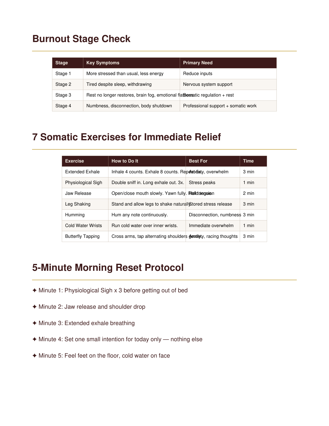 Burnout SOS Quick-Start Guide | 7 Somatic Exercises for Immediate Nervous System Relief | Instant Download — Poppy's Field (preview 2)