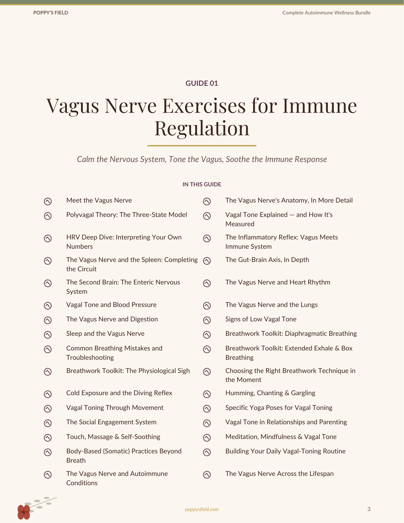 Complete Autoimmune Wellness Bundle | Vagus Nerve AIP Travel Guide Histamine Leaky Gut | Instant Download — Poppy's Field (preview 2)