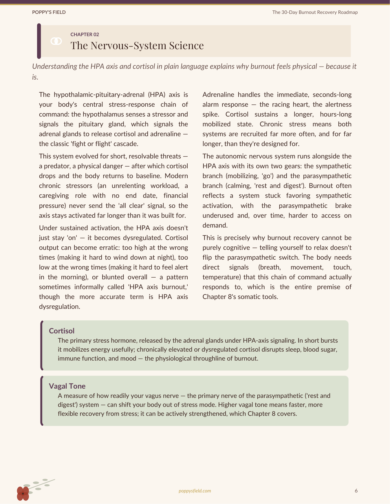 The 30-Day Burnout Recovery Roadmap | Somatic Healing Journal for Nervous System Reset | Instant Download — Poppy's Field (preview 2)