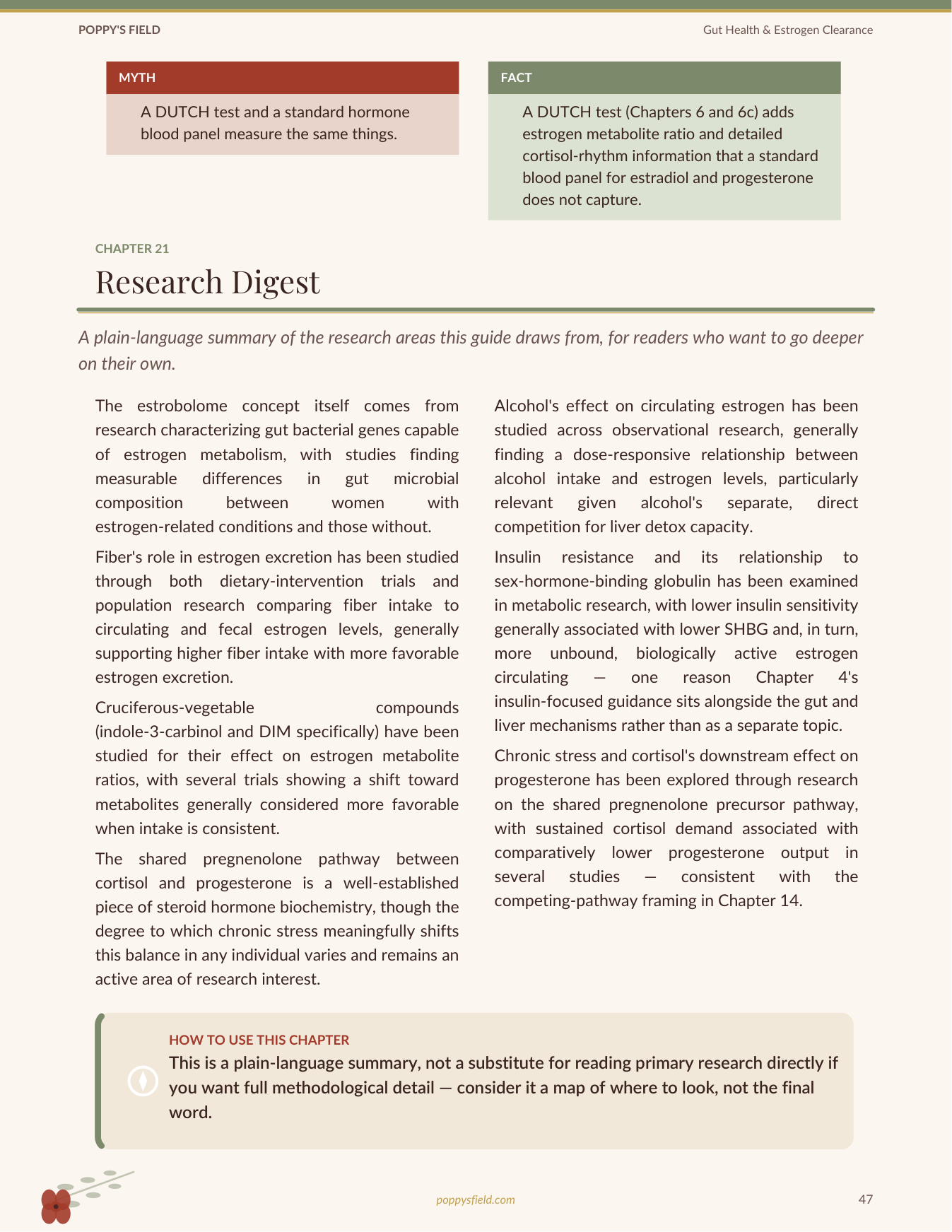Gut Health & Estrogen Clearance | Estrobolome Detox Guide Estrogen Dominance Journal | Instant Download — Poppy's Field (preview 4)