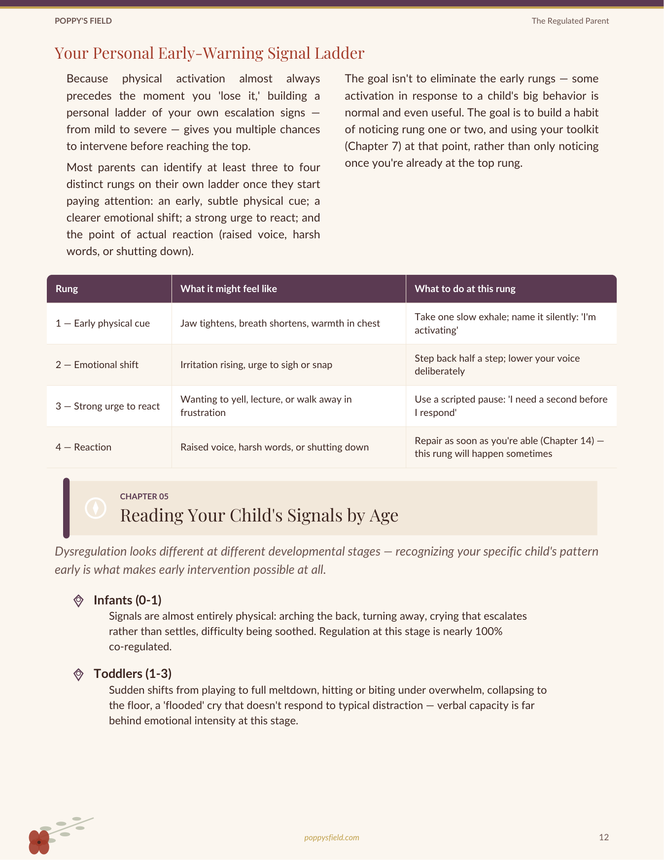 The Regulated Parent | Calm Tools for Chaotic Days | Co-Regulation Nervous System Guide | Instant Download — Poppy's Field (preview 3)