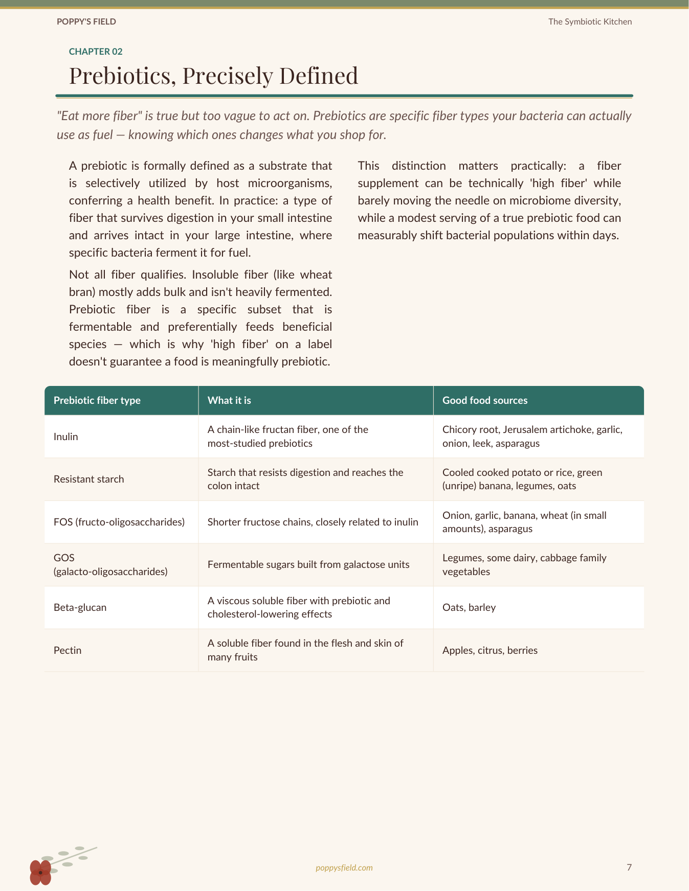 The Symbiotic Kitchen | Prebiotic Probiotic Food Pairing Guide | Gut Health Meal Planner | Instant Download — Poppy's Field (preview 2)