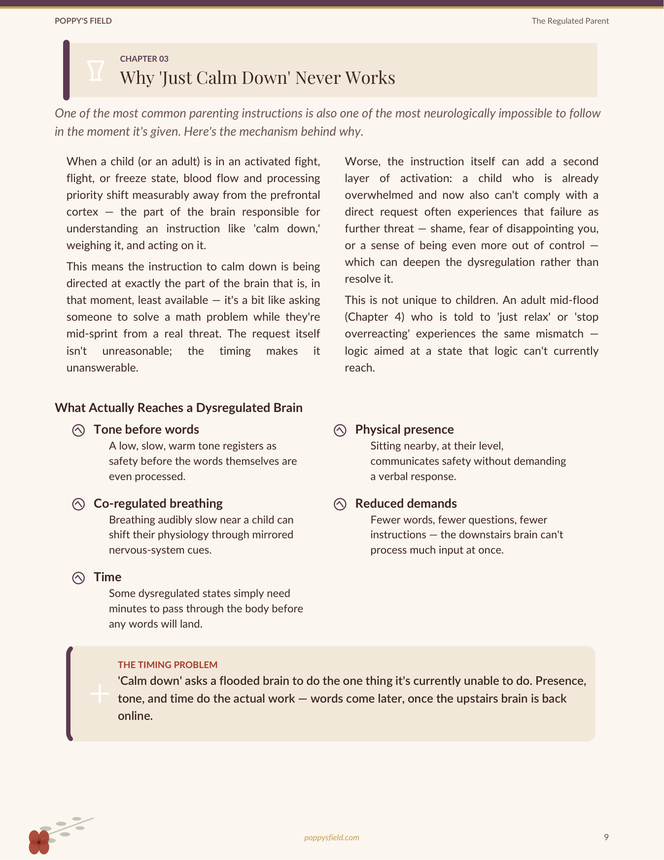 The Regulated Parent | Calm Tools for Chaotic Days | Co-Regulation Nervous System Guide | Instant Download — Poppy's Field (preview 2)