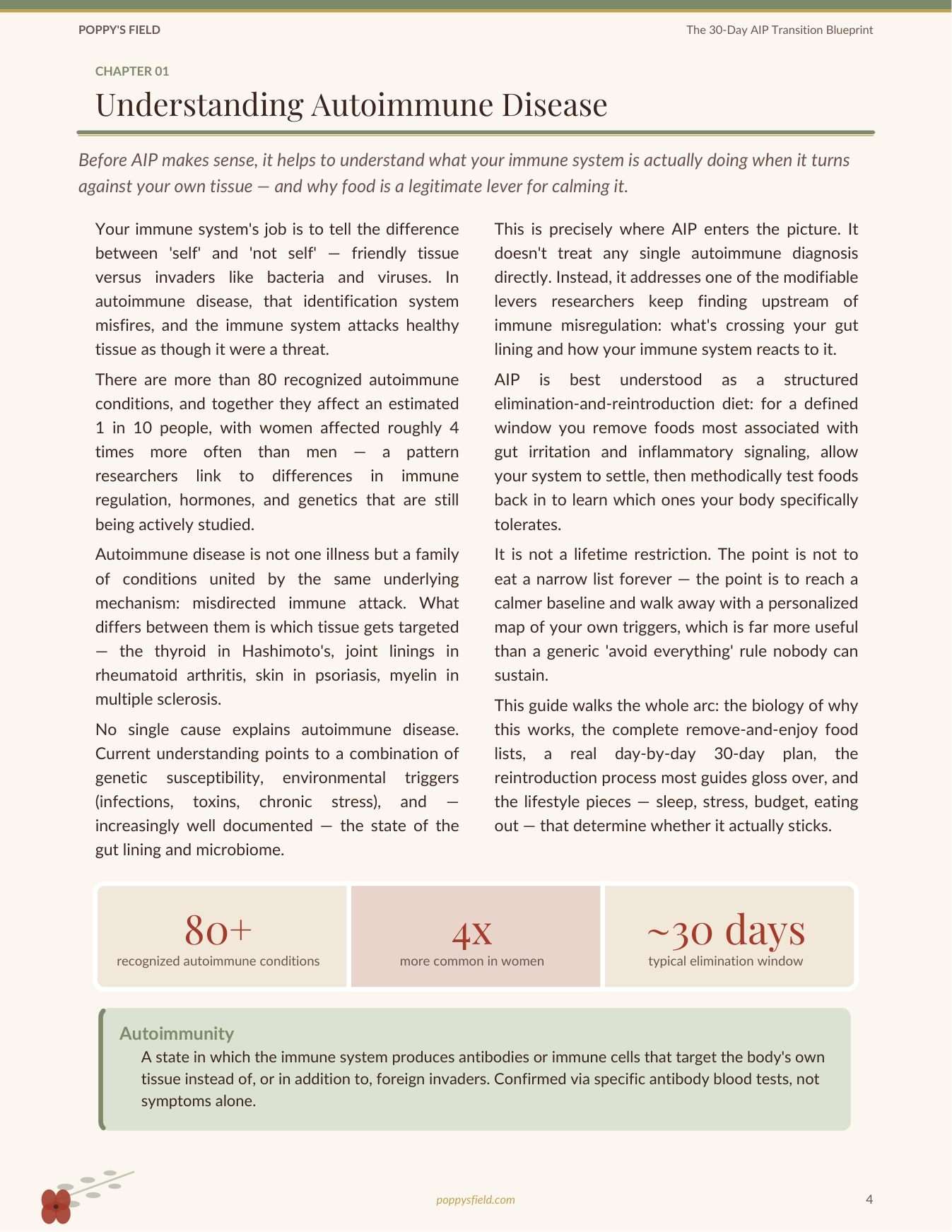 The 30-Day AIP Transition Blueprint | Autoimmune Protocol Elimination Diet Roadmap | Instant Download — Poppy's Field (preview 2)