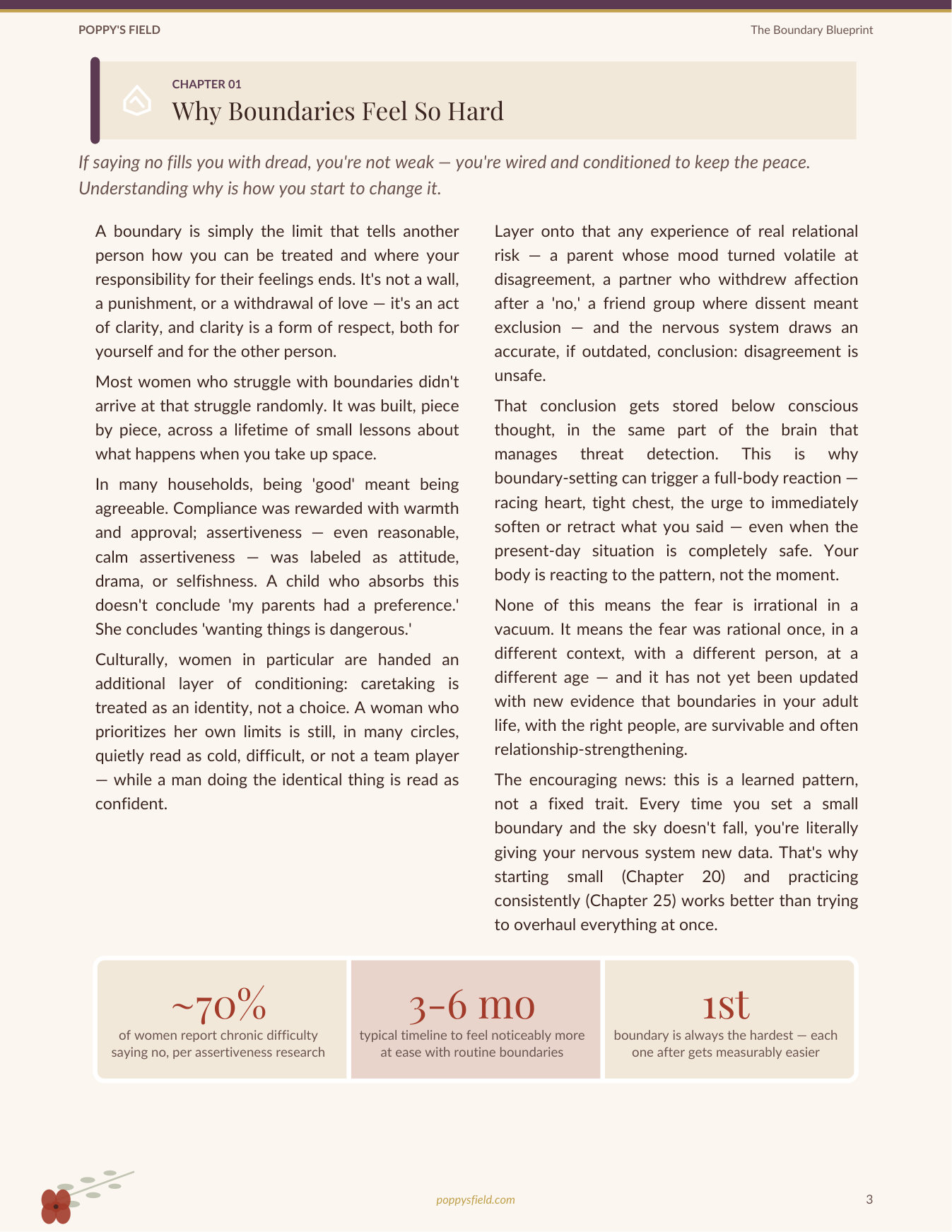 The Boundary Blueprint | Script-Based Journal for Workplace Agency | People-Pleasers Guide | Instant Download — Poppy's Field (preview 2)