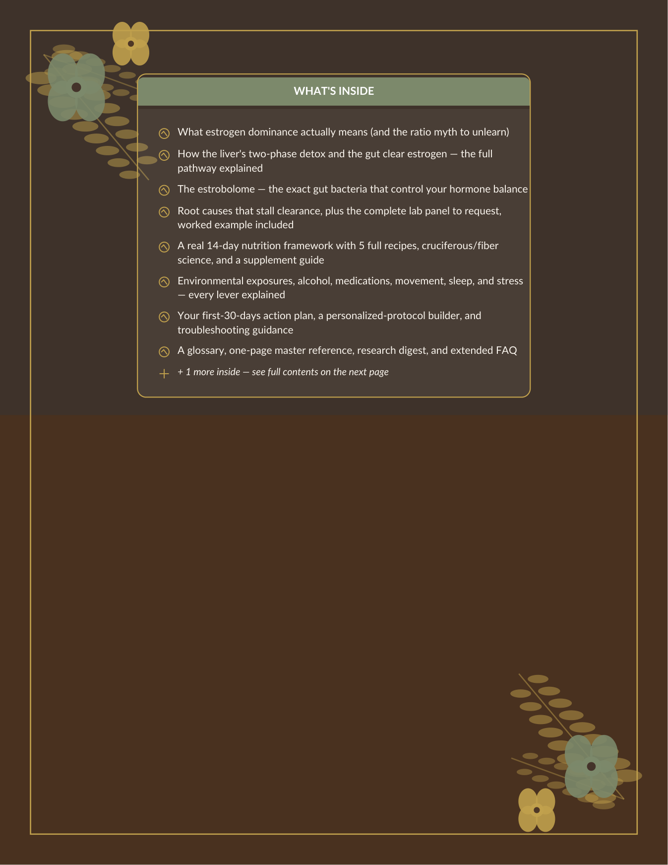 Gut Health & Estrogen Clearance | Estrobolome Detox Guide Estrogen Dominance Journal | Instant Download — Poppy's Field (preview 1)