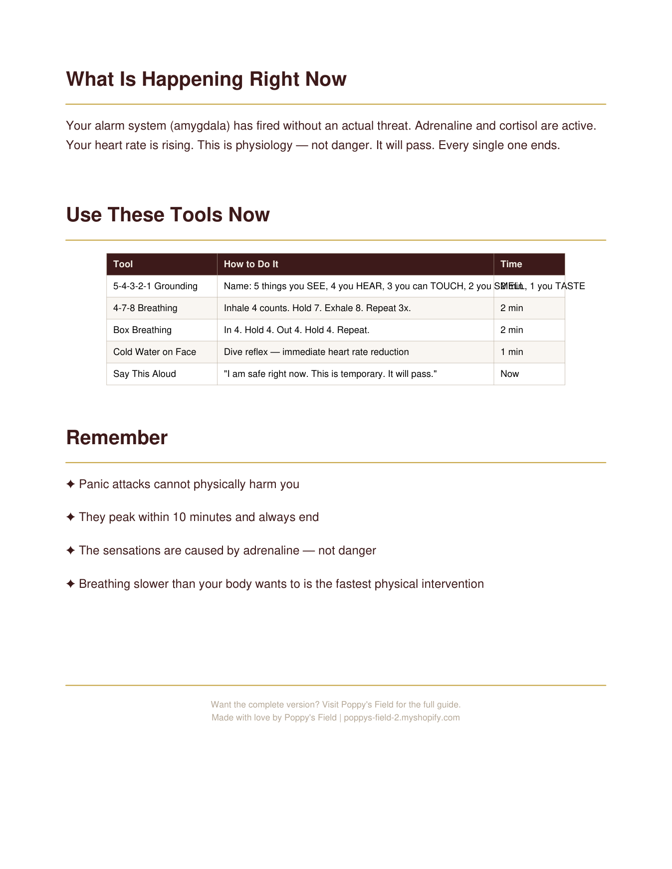 Panic Attack Quick Reference Card | 5-4-3-2-1 Grounding Breathwork Mobile PDF | Instant Download — Poppy's Field (preview 2)