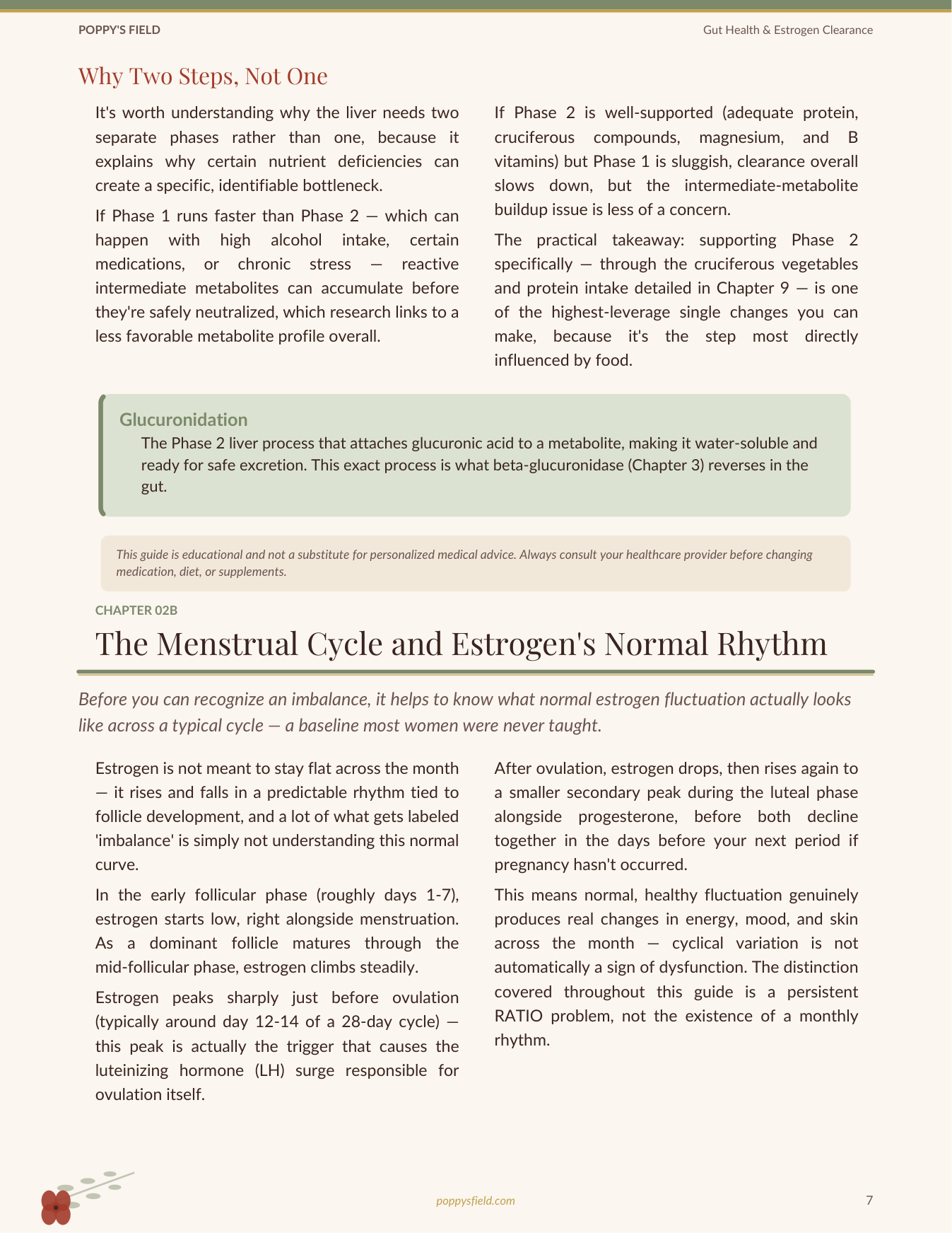 Gut Health & Estrogen Clearance | Estrobolome Detox Guide Estrogen Dominance Journal | Instant Download — Poppy's Field (preview 2)