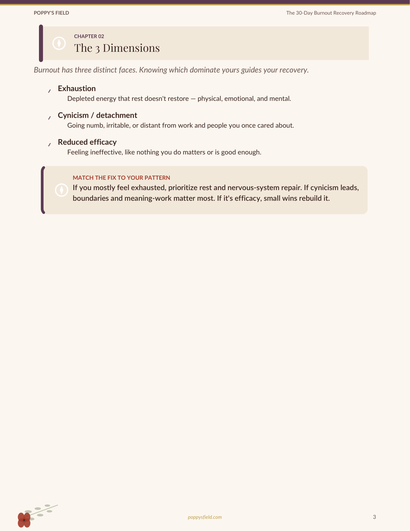 The Complete Burnout Recovery System — Poppy's Field (preview 4)