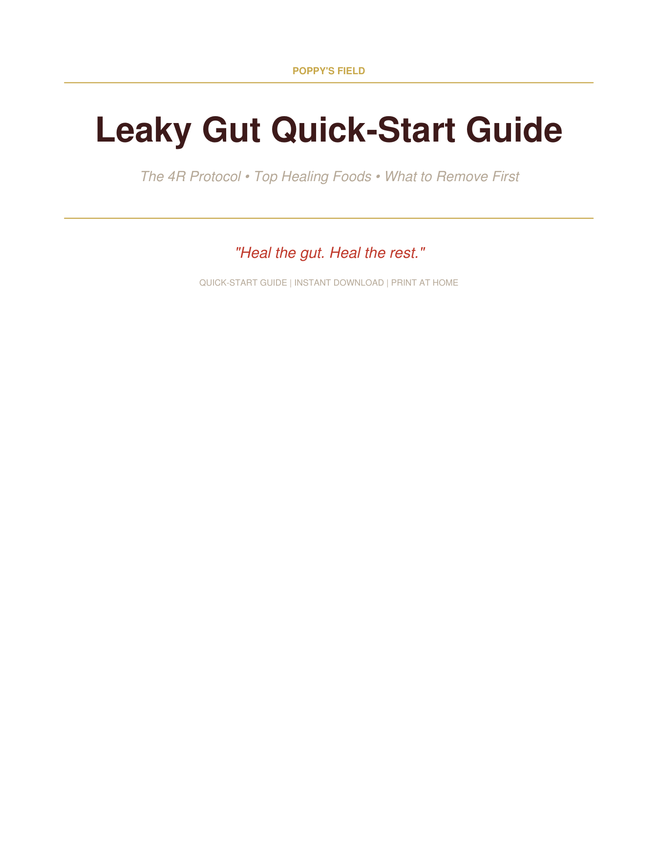Leaky Gut Quick-Start Guide | 4R Protocol Gut Healing Foods First Steps | Instant Download — Poppy's Field (preview 1)