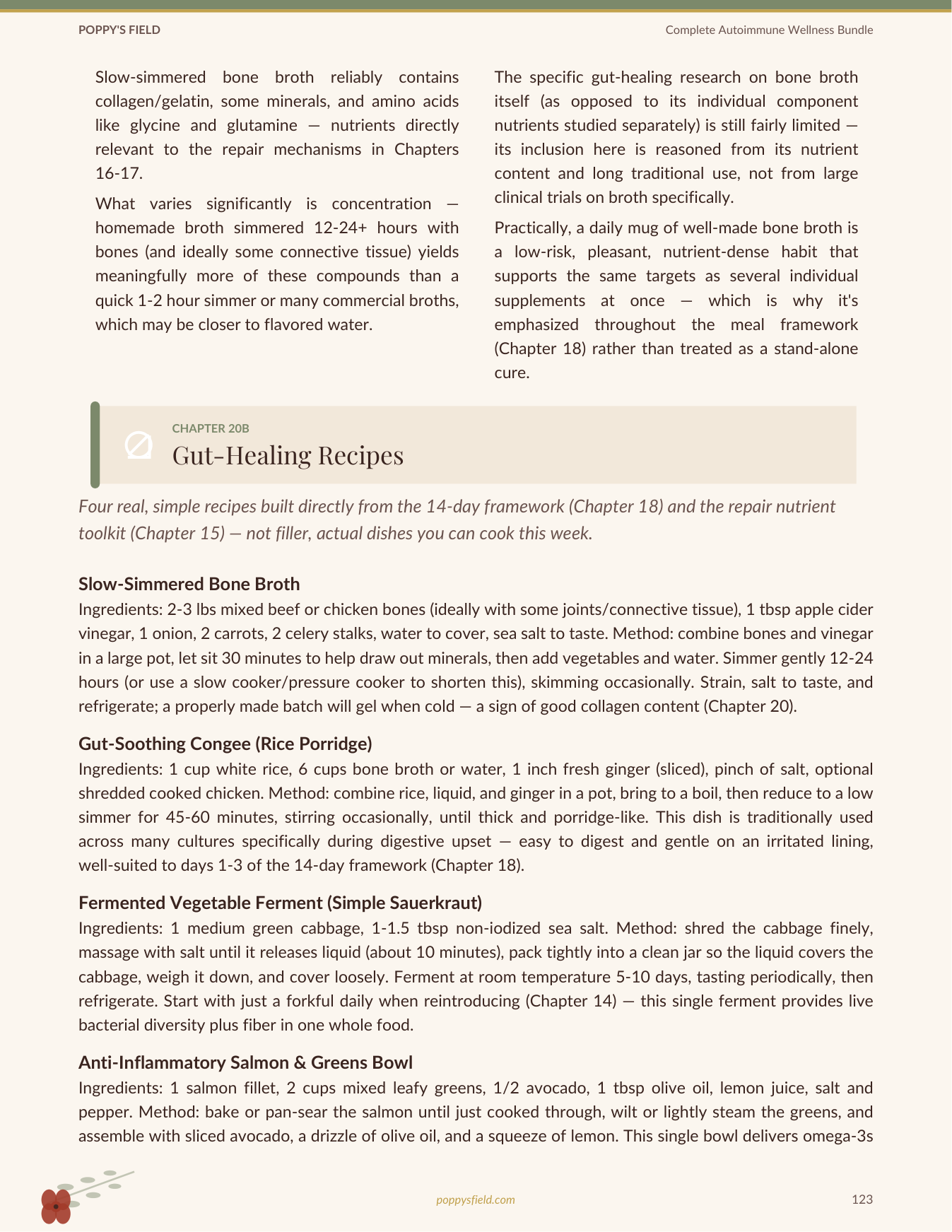Complete Autoimmune Wellness Bundle | Vagus Nerve AIP Travel Guide Histamine Leaky Gut | Instant Download — Poppy's Field (preview 4)