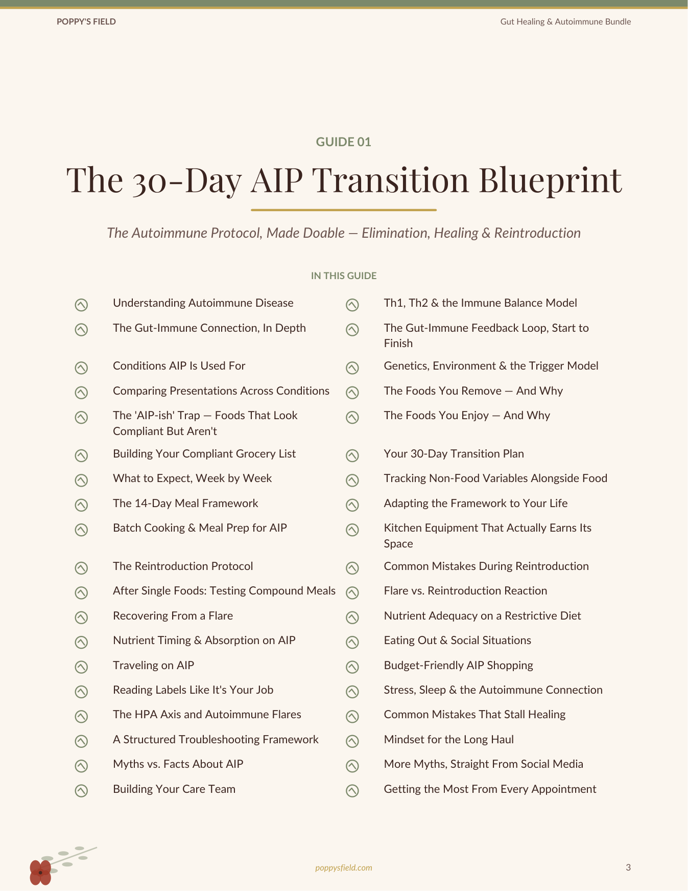 Gut Healing & Autoimmune Bundle | AIP Leaky Gut Histamine Reset Symbiotic Kitchen | Instant Download — Poppy's Field (preview 2)