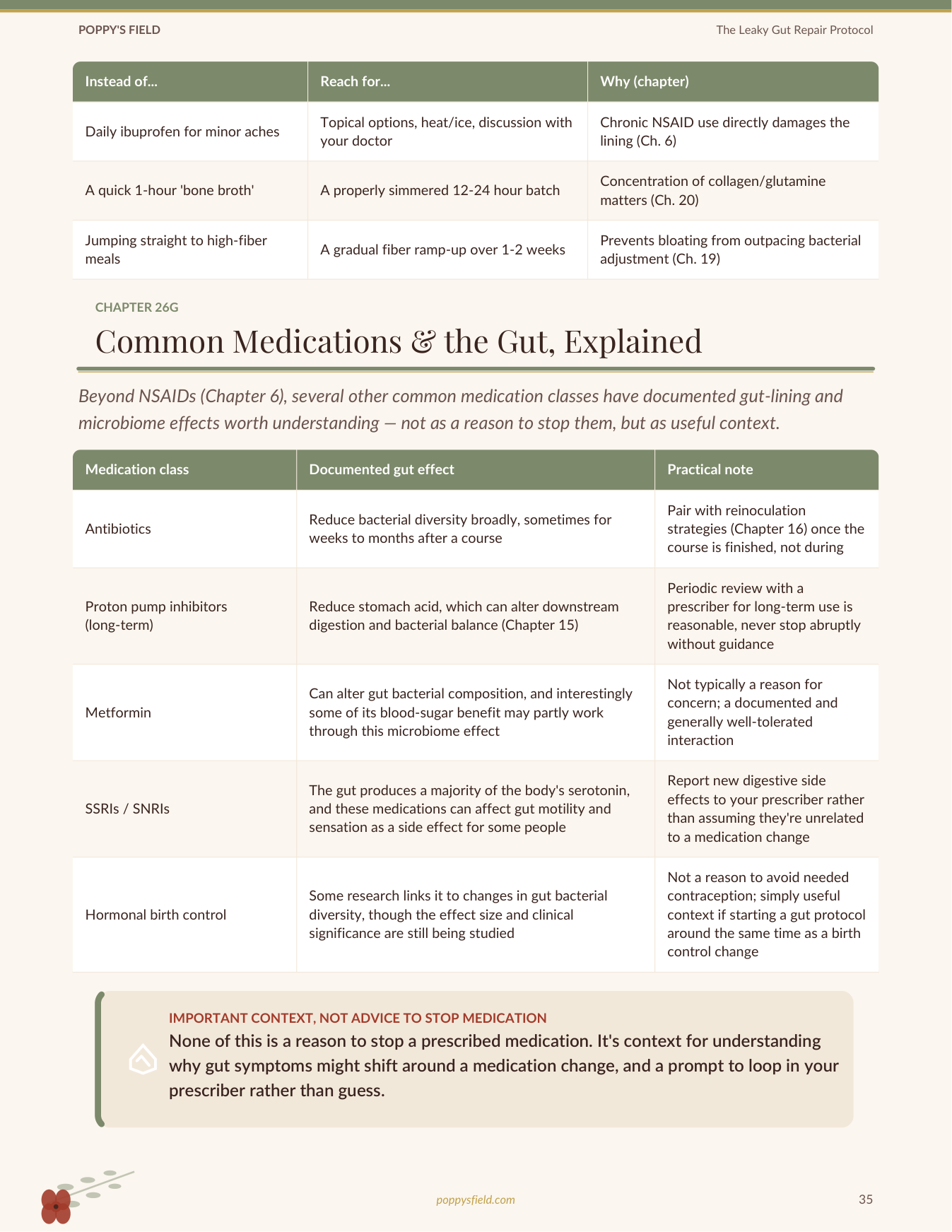 The Leaky Gut Repair Protocol & Food Journal | Gut Healing Guide Bloat Trigger Tracker | Instant Download — Poppy's Field (preview 4)