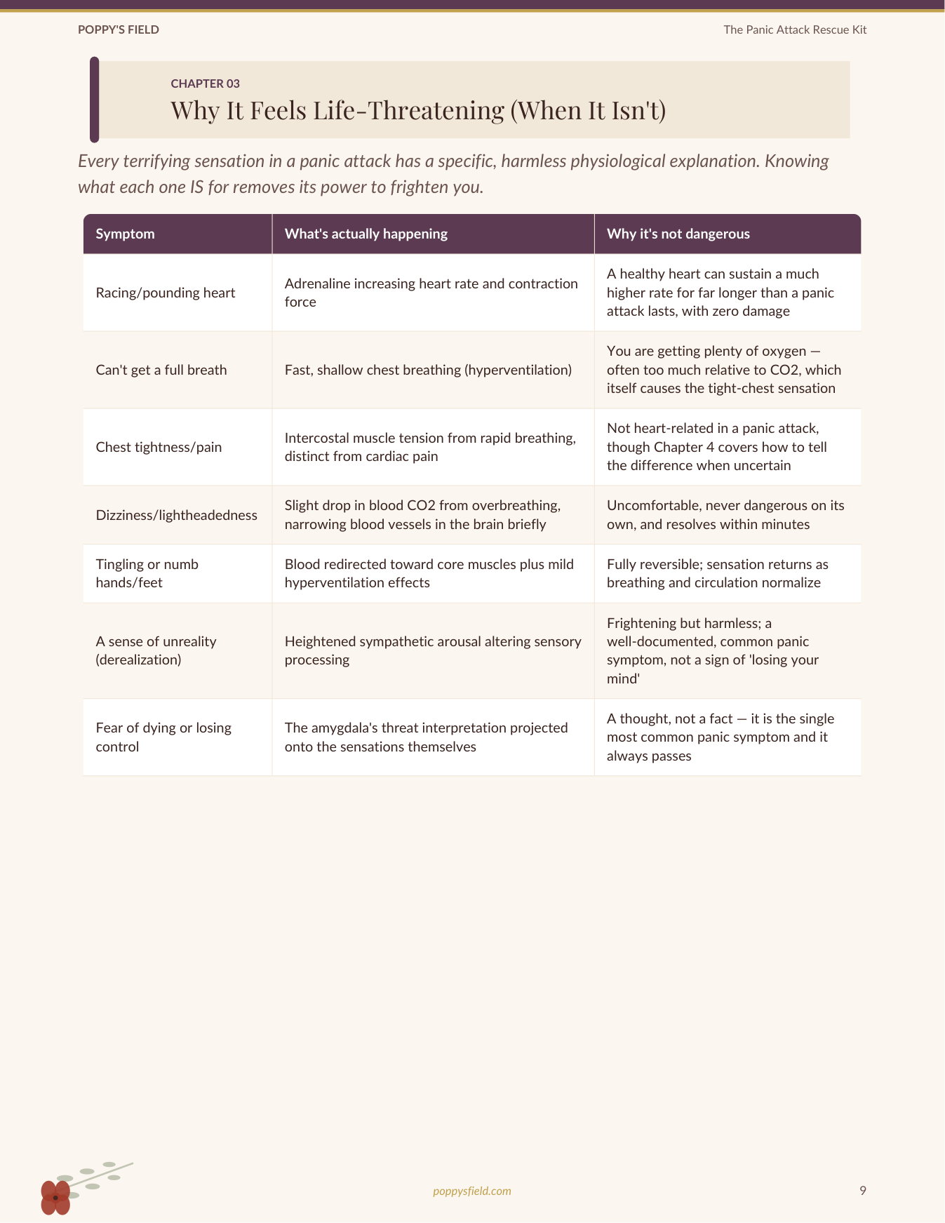 The Panic Attack Rescue Kit | 5-4-3-2-1 Grounding Emergency Breathwork Mobile PDF | Instant Download — Poppy's Field (preview 2)