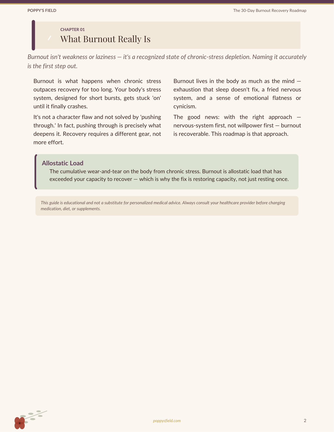 The Complete Burnout Recovery System — Poppy's Field (preview 3)