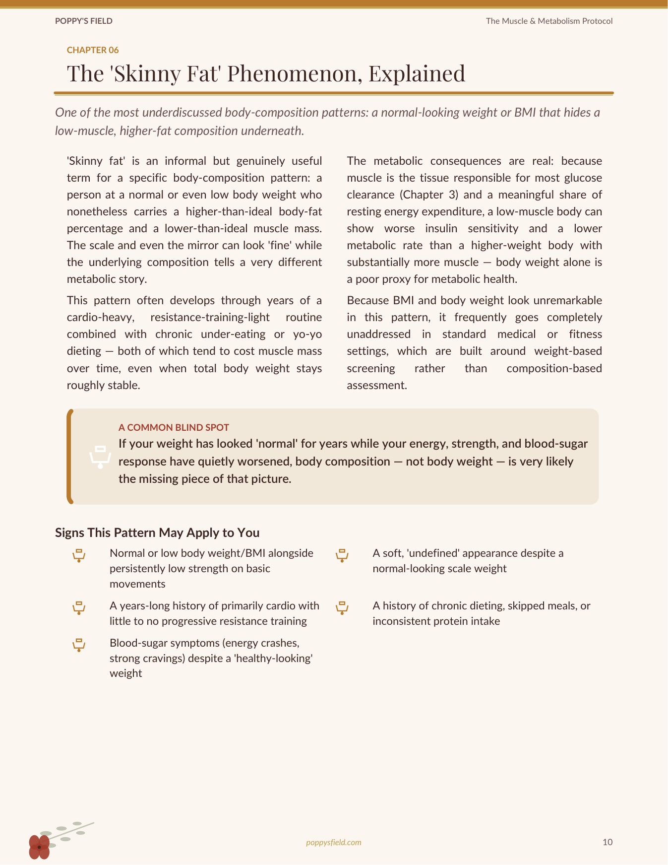 The Muscle & Metabolism Protocol for the 30s Shift | Resistance Training Hormone Balance Women | Instant Download — Poppy's Field (preview 2)